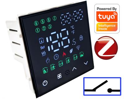 Thermostat Boiler Pump Controller Zigbee TUYA