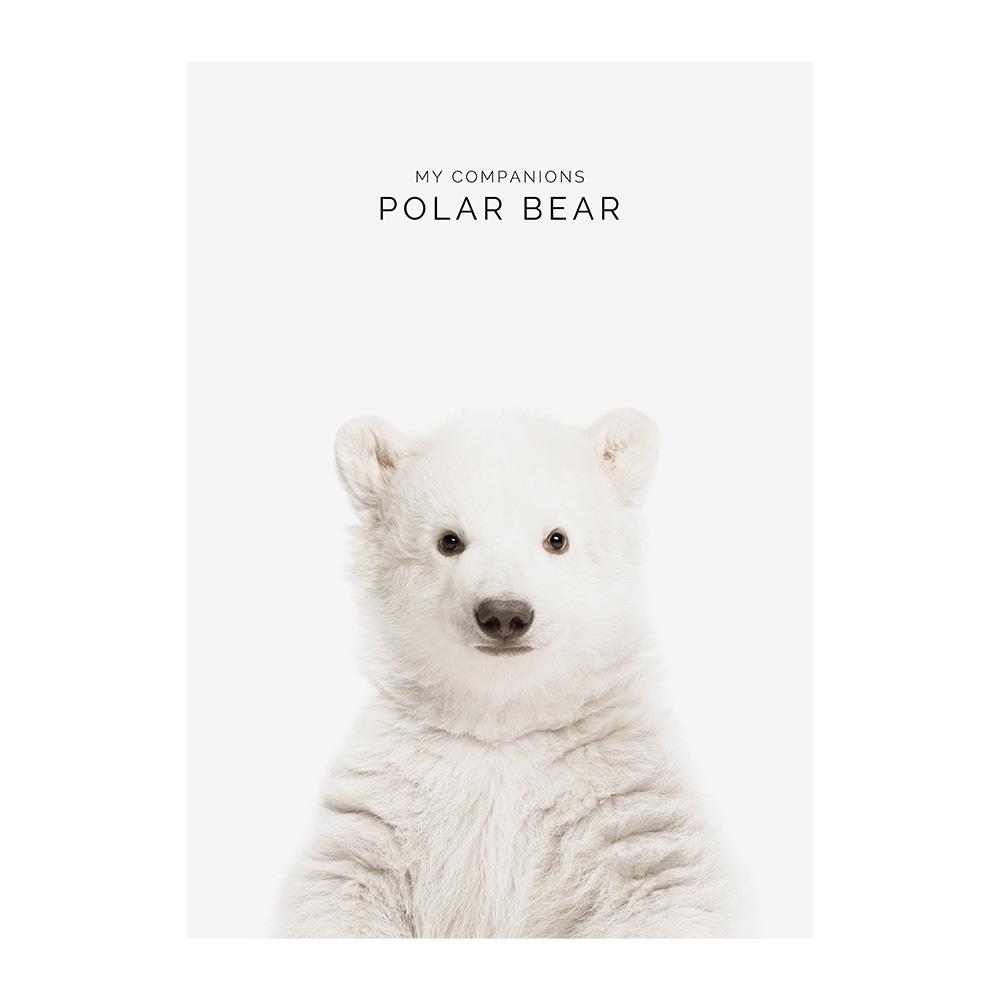 

Детская комната животное настенная живопись холст слон жираф медведь настенные художественные принты картина скандинавское искусство постер для детской комнаты декор детской комнаты 20x30cm