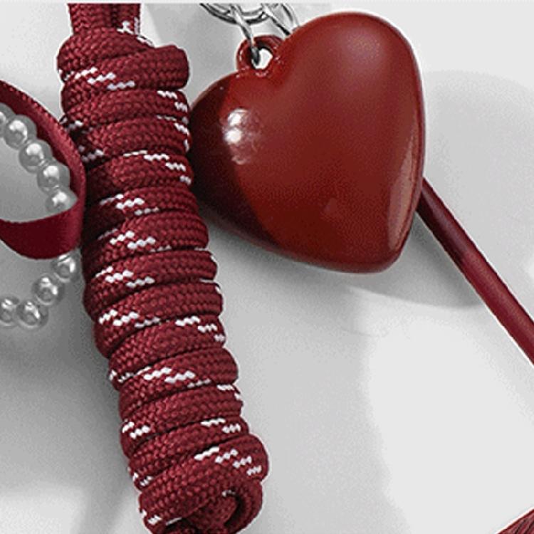 Trendy Heart Tassels Bows Keychain for Women’s Bags and Accessories Sophisticated Korean Aesthetic Bag Pendant