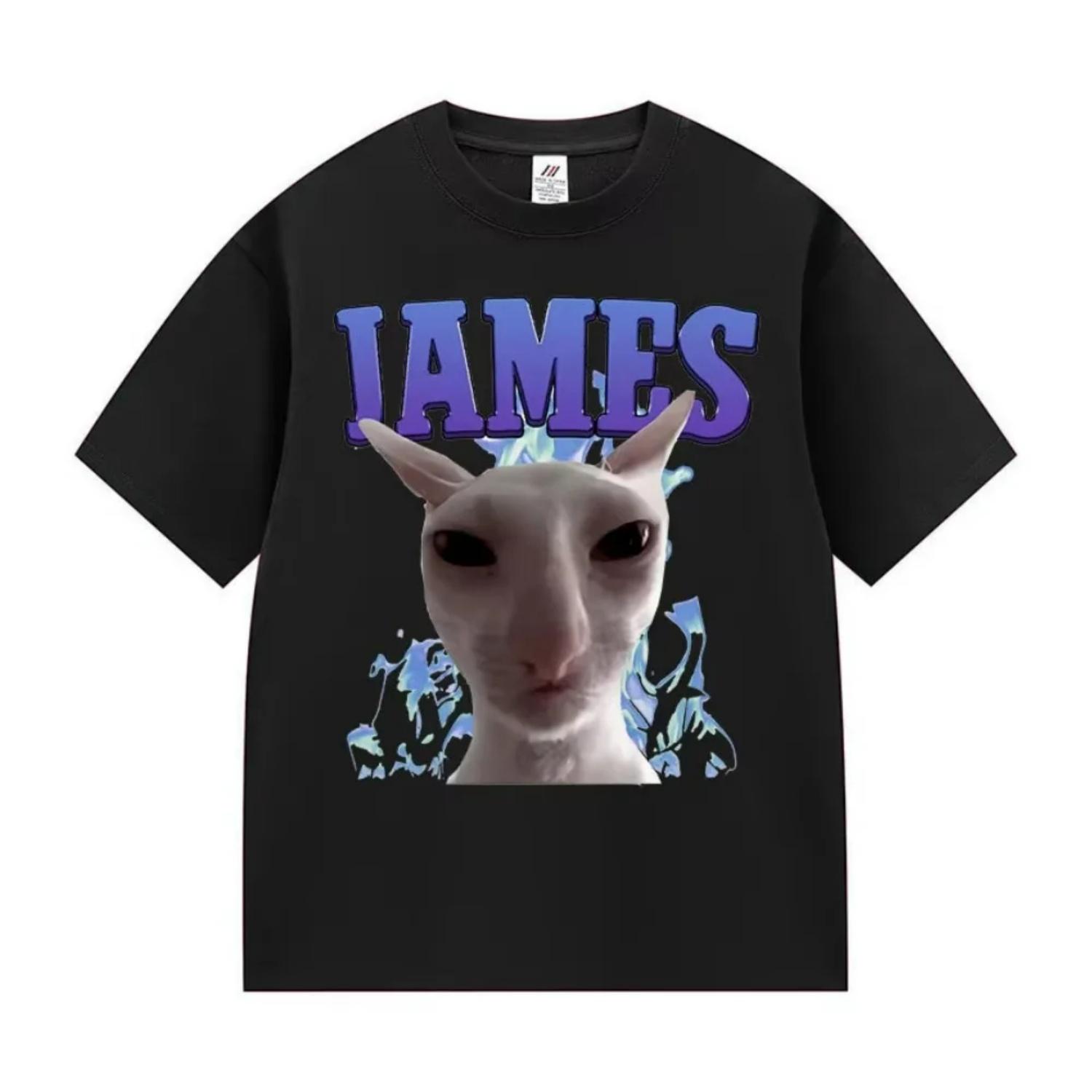 

James IAMES Funny Cat Meme T-shirts Stupid Joke Gifts Cat Lover Short Sleeve T-shirt Men Women Fashion Oversized Cotton T Shirts S чёрный