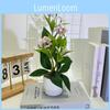 Jump Small Chrysanthemum Rainflower Artificial Green Plant For Interior Decor