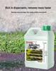 Eco-Pro Algae & Moss Remover for Cement Floors and Walls