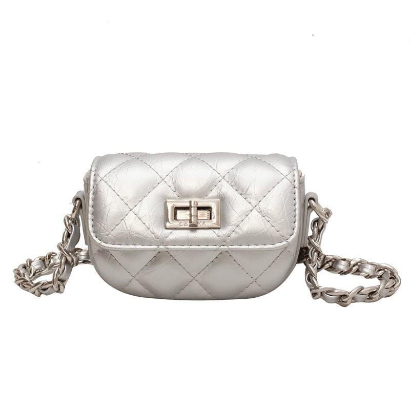 Chic Silver Mini Bag For Women Stylish High-end Summer Shoulder Crossbody Purse
