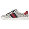 Ace 'GG Supreme Canvas - Beige Blau' 760775 FACMZ 4049