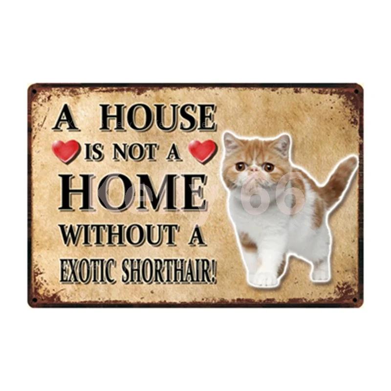 [ Kelly66 ] Pets Cat Bombay Siamese Burmese Birman Abyssinian Metal Sign Home Decor Bar Wall Art Painting 20*30 CM Size Dy147