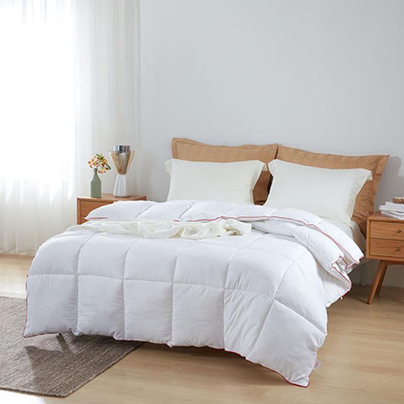 Mengjie Ultra-Soft Feather Velvet Thick Quilt