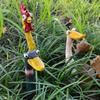Harzhandwerk Schreiende Hühnerstatuen Lustige wetterfeste Enten-Gänse-Ornamente Handbemalte Hühnerfigur Terrassendekoration