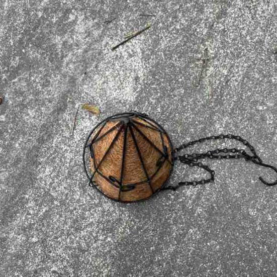 Metal Hanging Planter Basket with Coconut Liners Easy Planting Hanging