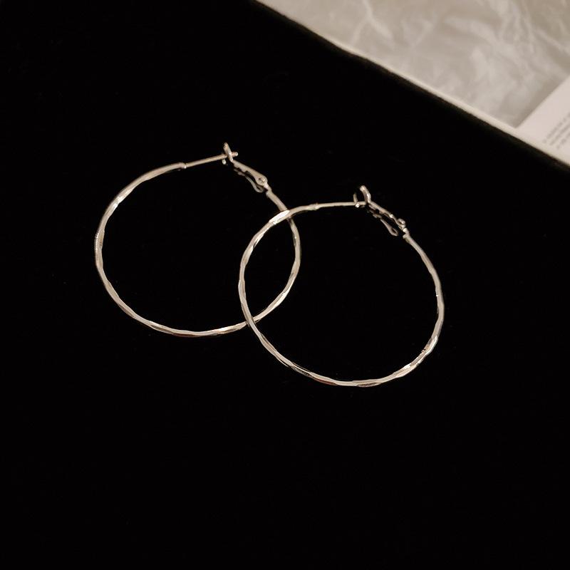 

Silver needle metal wind circle twisted earrings European and American personality simple high-end earrings niche versatile earrings
