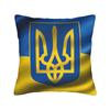 Ukraine Presidential Flag  Pillow Case  Novelty Pillow Cover Polyester Design Cushion Cover Pillowcases For Living Room Chair