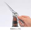 Oaks Disassembled and Washable Stainless Steel Kitchen Scissors Japanese-made