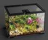 Reptile Breeding Box Crested Gecko Lizard Horned Frog Hermit Crab Spider Glass Ecological Tank