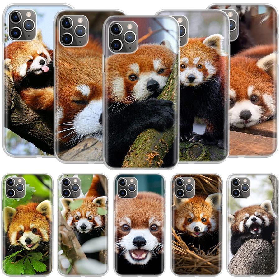 Popular red pandas Phone Case For Apple Iphone 12 13 Mini 14 15 Pro 17 Pro Max Air 11 16E 16 Plus Shell Cover Clear TP