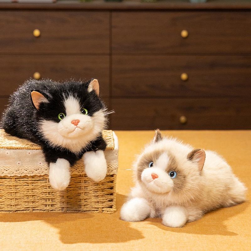 Simulation Fairy Ragdoll Cat Doll Cute Cat Plush Toy Doll Girl Companion Pillow Rag Doll Gift