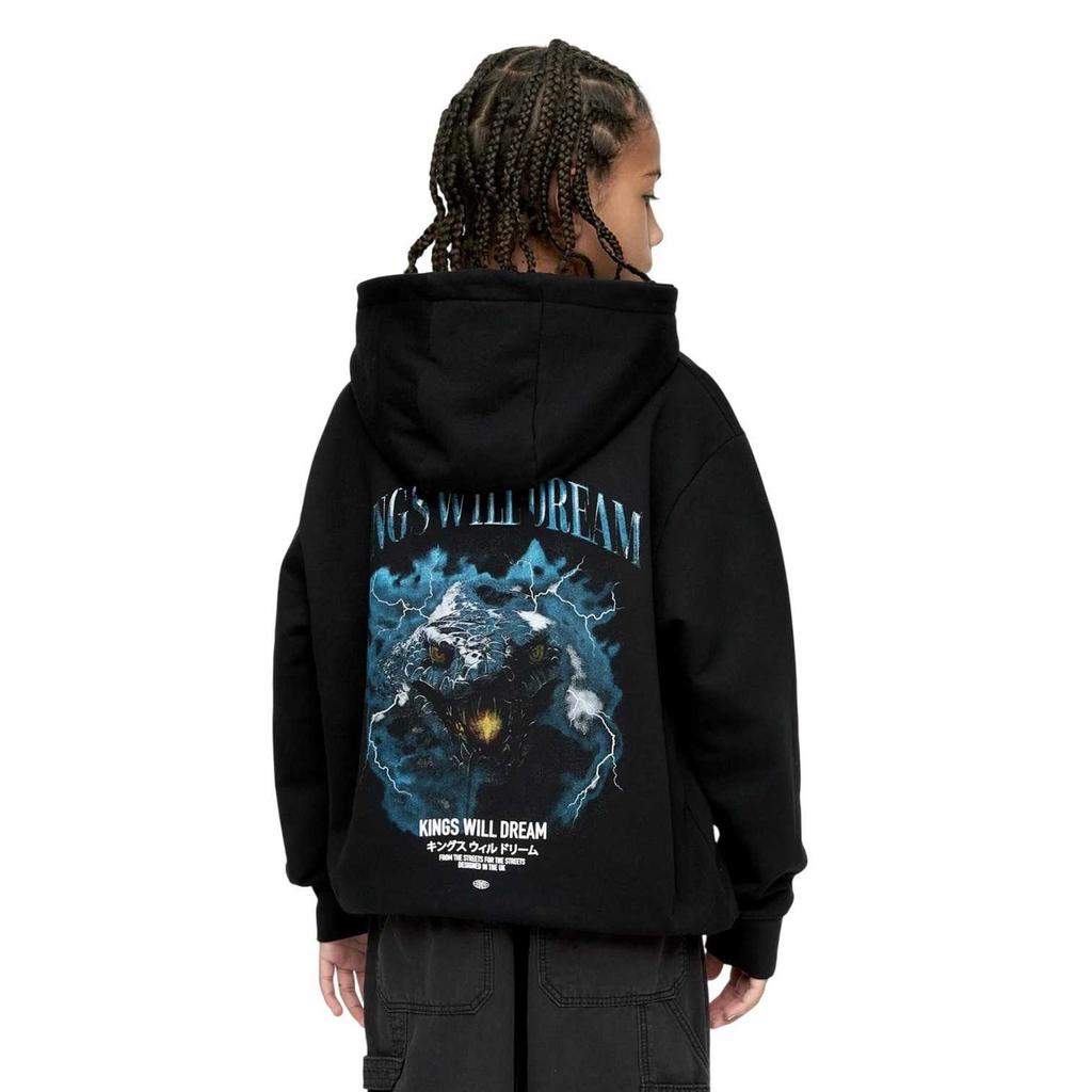Kings Will Dream Boys Studio Snake Smile Hoodie