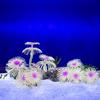 Aquarium Colorful Soft Coral Craft Set Sea Creature Terrarium Habitat Aquarium Underwater Artificial Plant Reef