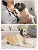 Waterproof Noise-Reducing Dog Ear Covers: Swim & Soothing Headgear