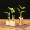 Test Tube Glass Vase Plant Propagation Station Hydroponic Vases for Plants with Wooden Stand Terrarium Office Home Desktop Decor