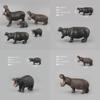 Wild Animal Pvc Hippo Model Set For Kids And Collectors