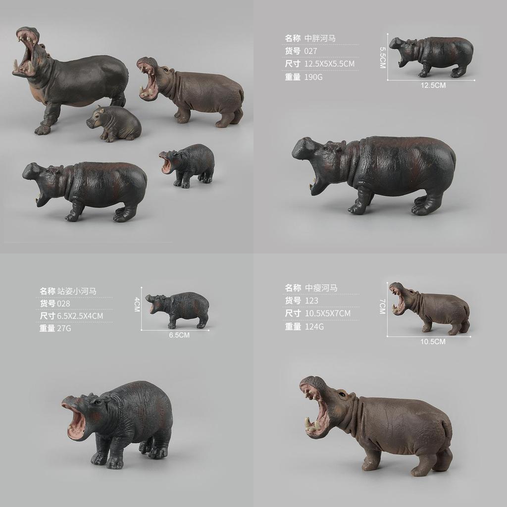 Wild Animal Pvc Hippo Model Set For Kids And Collectors