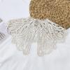 Vintage Shawl O-Neck Doll Fake Collar Shirt Women Hollow Crochet Lace False Collar Detachable Woman Half Shirt Faux  Col