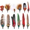 10-12 Pcs Natural Peacock Feathers Colorful Real Feathers for Fedora Cowboy Party Hats DIY Crafts