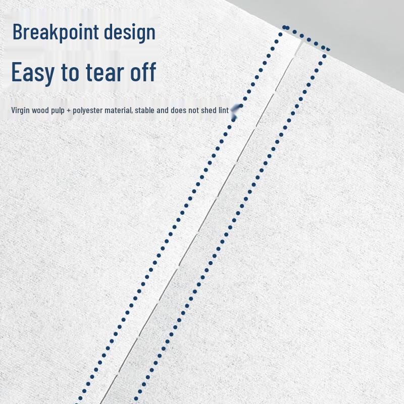 Haogongbang Cleanroom Dust-Free Wipes