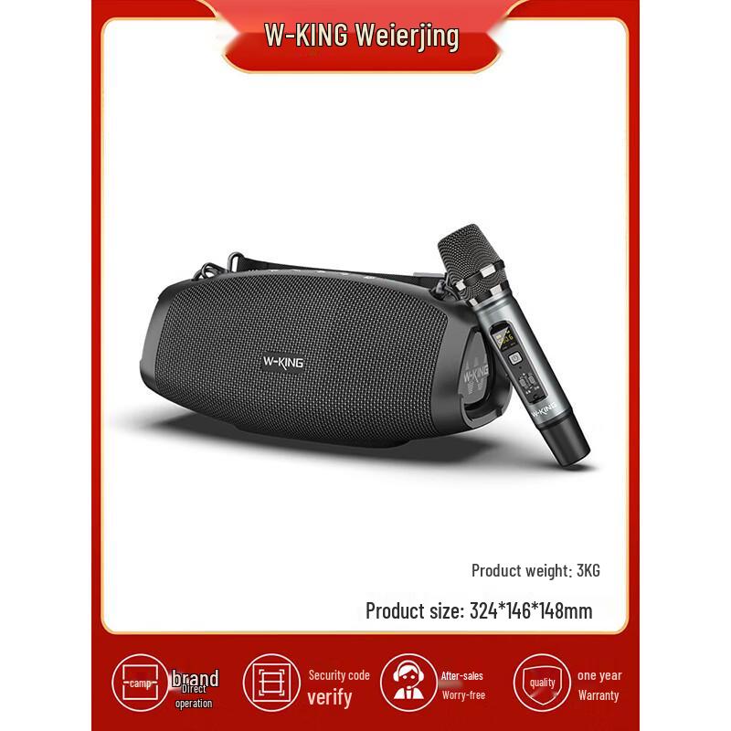 W-King D10+ Portable Bluetooth KTV Speaker