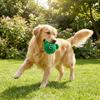 Bite-Resistant Squeaker Dog Toy Cartoon Animal Shaped Toy Dog Grinding Teeth Toys  Training