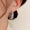 Korean Style Temperament Niche Design Zircon Wheat Ear Hoop Earrings Women Light Luxury Fashion Exquisite High-end Atmospheric Earrings