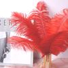 Color 20-25Cm Ostrich Hair Vase Ornament Wall Feather Decoration Hand Bouquet Flower Arrangement Diy Material