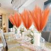 20pcs Vivid Orange Imitation Pampas Grass Set - 22 Inches High for Bohemian Home and Wedding Decor, No Vase Included