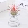 3Pcs/set Stainless Steel Spring Base Holder Pineapple Base Spring Wire Egg Tray  Tea Drain Holder