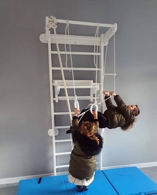 Gymnastic Wheels Champion Wood