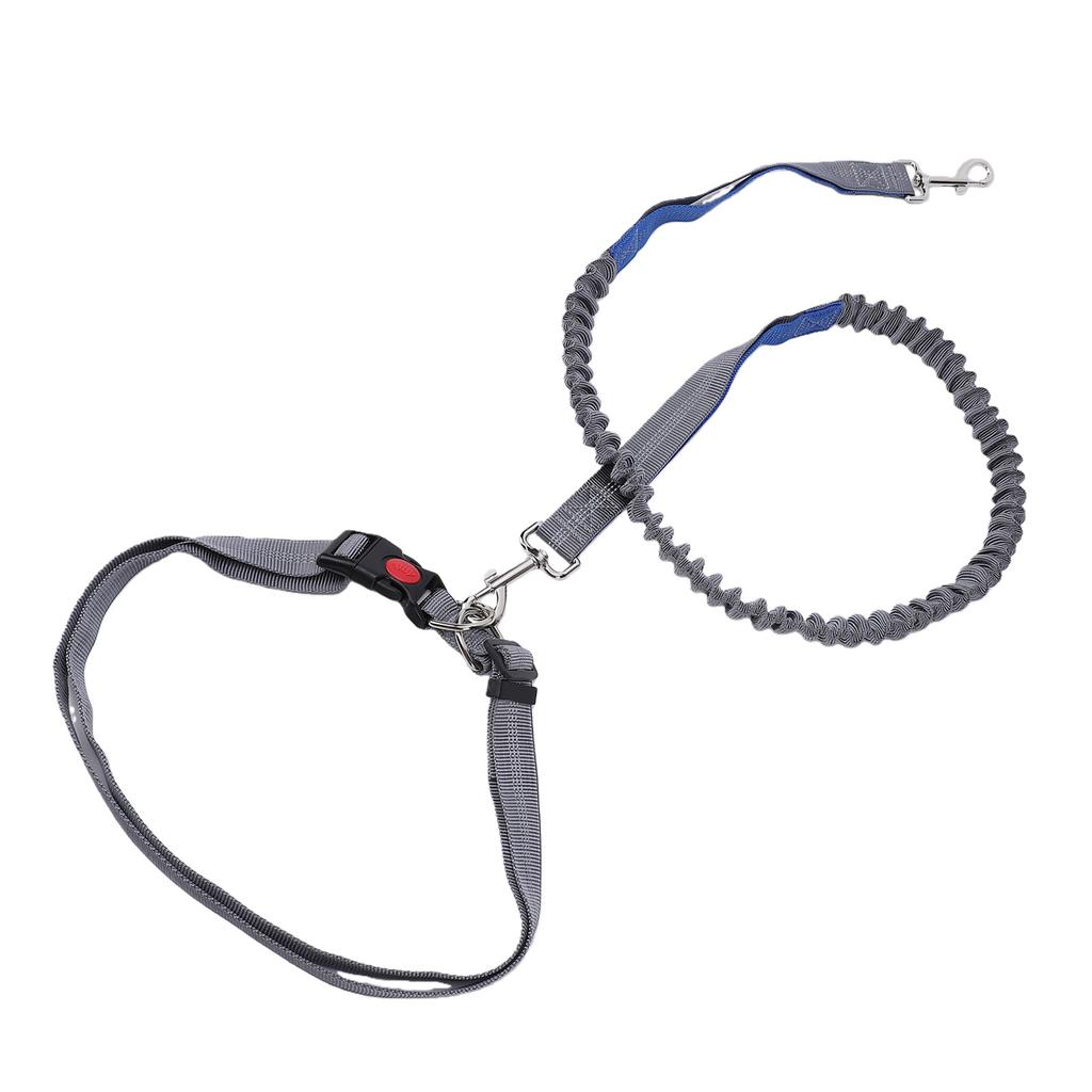 Dog Leash Multifunctional D Ring Reflective Strip Anti Pull Lock Buckle Nylon Dog Rope Leash for Walking
