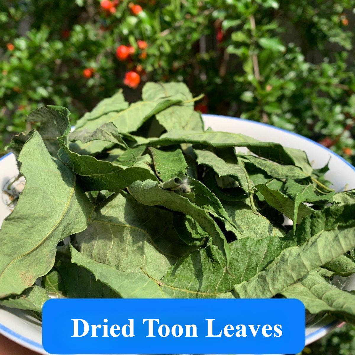 

Сушеные листья Toon 250 г/ 500 г Высушенные на солнце листья Toon Чай Toon свежие листья toon leaves [old leaves]