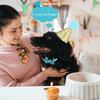 Decorative Pet Birthday Decorations Set Dog Sequins Hat Cat Birthday Party Supplies  for Dogs Cats