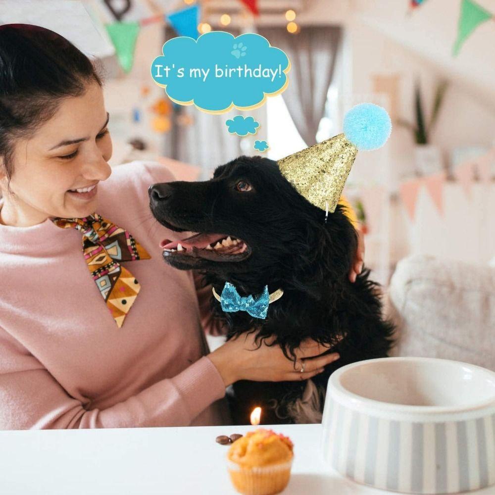 Decorative Pet Birthday Decorations Set Dog Sequins Hat Cat Birthday Party Supplies  for Dogs Cats