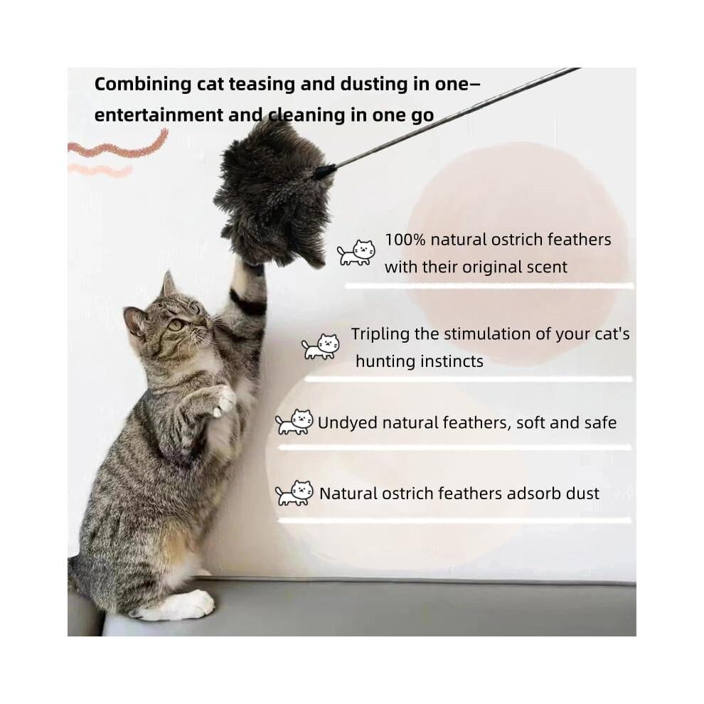Natural Ostrich Feather Cat Teaser 30in Telescopic Rod Stainless Steel Undyed Feathers Dark Gray