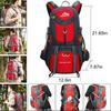 50L Lightweight Hiking Backpack, Water-Resistant, Breathable Back Support, 45+5L Capacity for Travel & Trekking – Compatible with All Outdoor