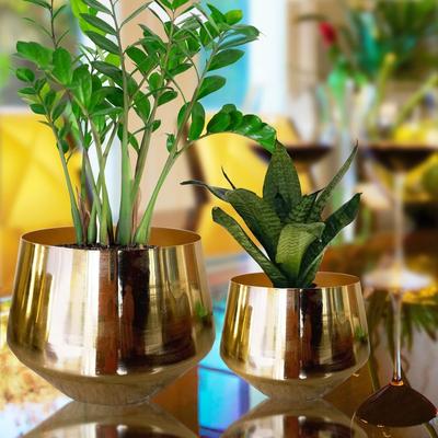 6 Inches, Pack of 2 Alice Metal Plant Pot, Decorative Modern Indoor Planter Flower Pots, Home Garden Decor Planter for Living Room Bedroom