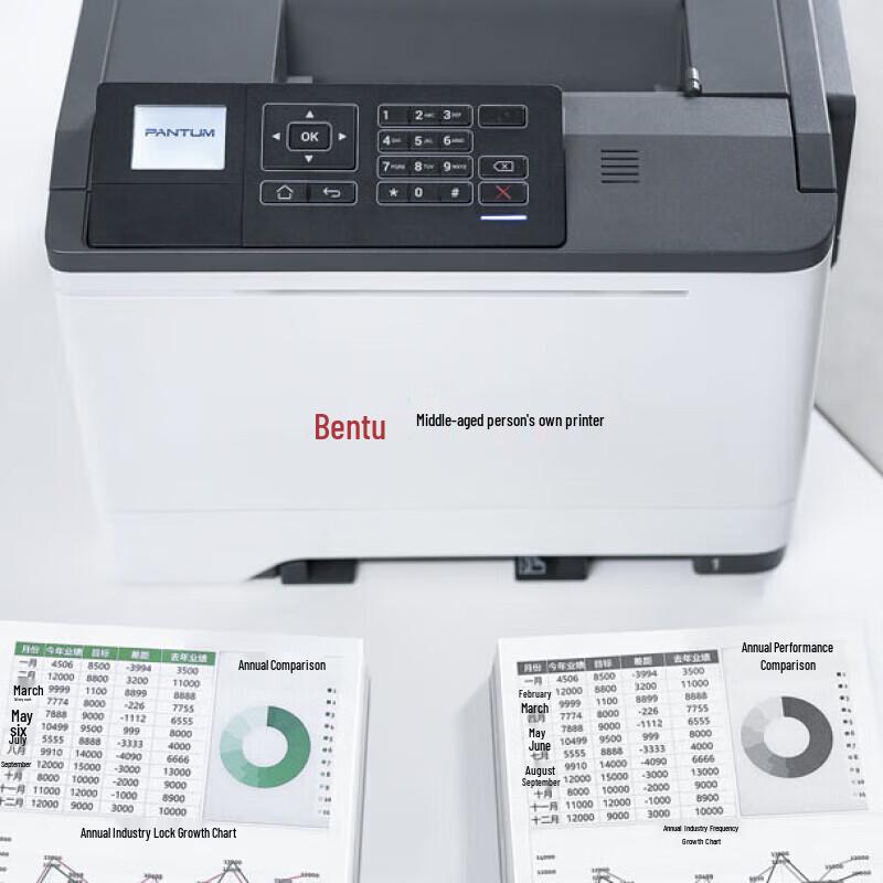 Pantum CP5055DN A4 Color Laser Printer CN plug (adapter included)