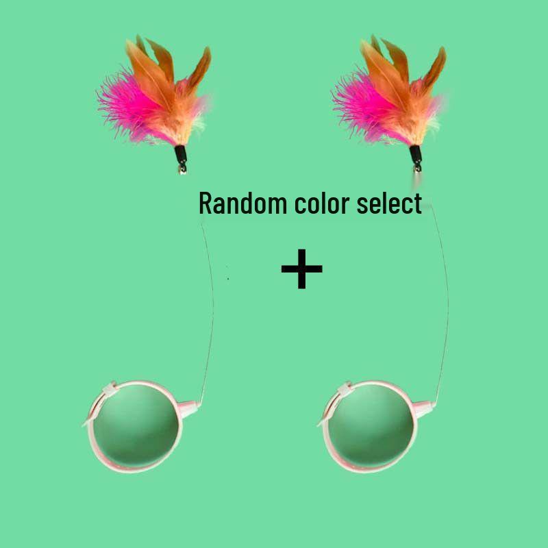 Interactive Feather Cat Teaser with Bell & Collar
