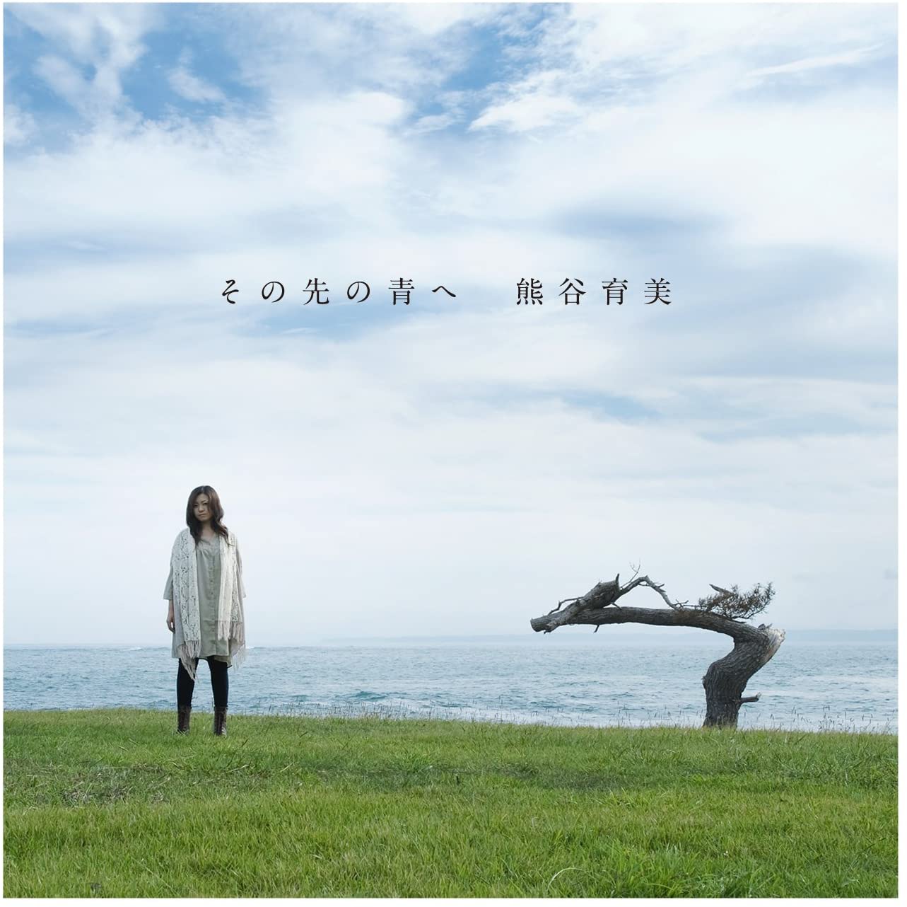 

CD IKUMI KUMAGAI - Sono saki no ao he TECG30056 Japan ObiJapanese Pop/Rock Used