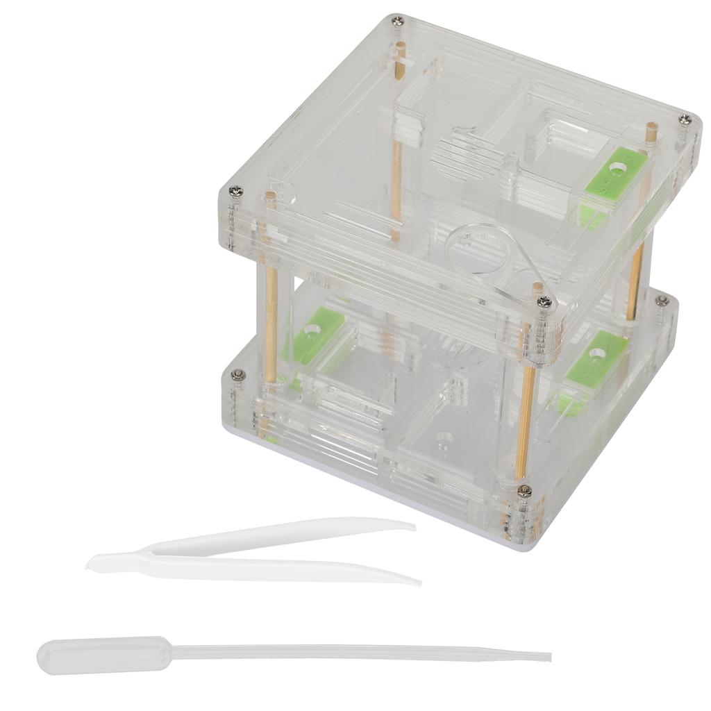 Acrylic Ant Nest Display Box Ant Nest House Hill Castle Villa Farm for Insect Educational