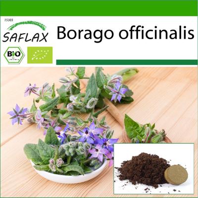 Organic - Borage - 40 Seeds - With Potting Substrate for Better Cultivation - Borago Officinalis