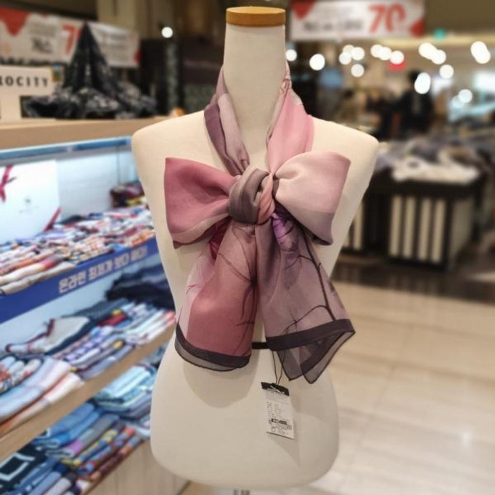 Arnaldo Basini Leia Chiffon Silk Long Scarf (abs-226201)