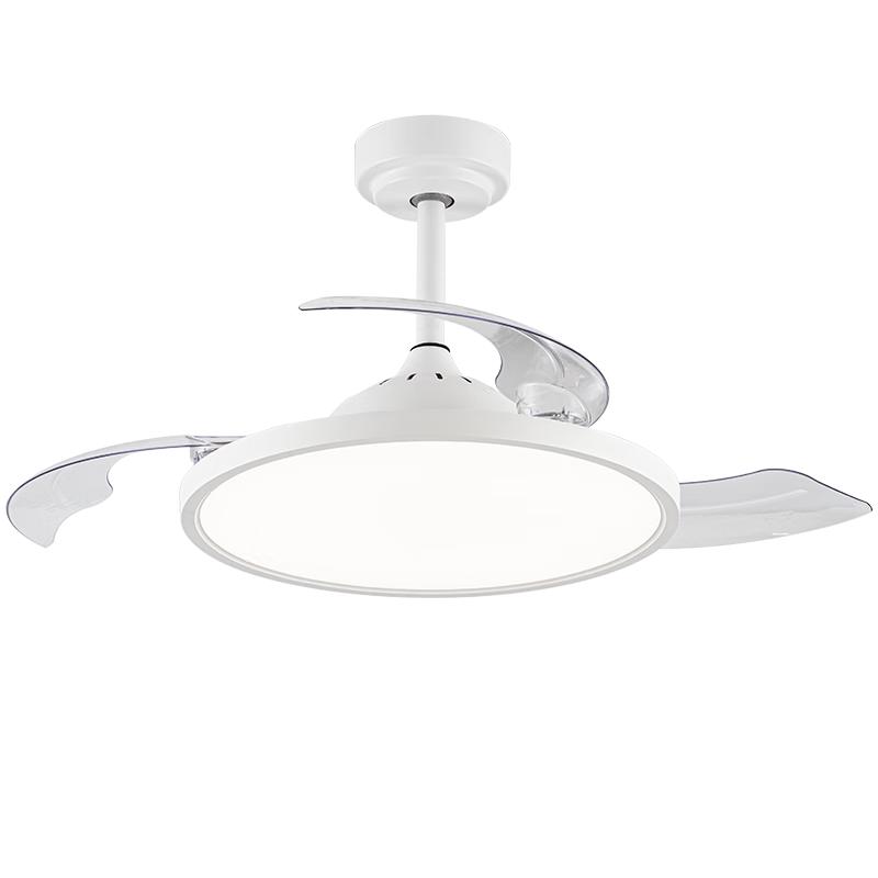 Jian Dun Full Spectrum Eye-Protection Invisible Blade Ceiling Fan with Light