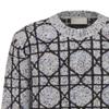 DIOR Knitwear Men's Gray Crew Neck Moderate 483M643AT804-C889