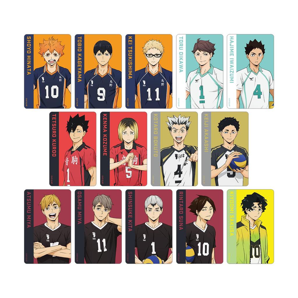 Haikyu!! Trading Plastic Visual Cards Box of 14